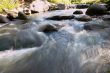 small rapids in a small river