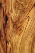 Wood Texture: Camphor Laurel