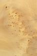 Wood Texture: Unknown Pale Wood