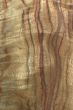 Wood Texture: Camphor Laurel?