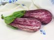 Two eggplants