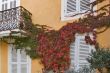 Autumn color.
