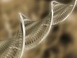 DNA abstract