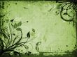 Floral grunge