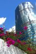 Greening the City