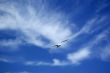Free as a Bird