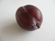 One plum