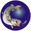 Ravenous fish