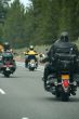 Bikers - motorcycles & leather
