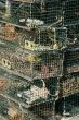 Detail, Lobster traps and floats