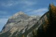 Mt Stephen, Aspens