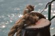Berthing rope.