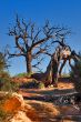 Dry and magnificent