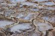 Crystals of salt.