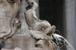 Detail, fish, fountain
