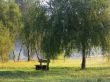 Park bench in the morning ligth
