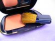 Blusher and brush
