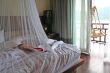 Tropical bed