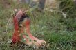 Booted flower-bed