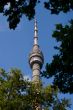 Moscow tower
