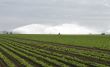 Watering Crops
