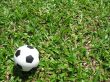 Single Football Lying On The Grass