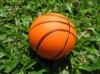 Closeup Of Basketball On Grass