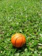 Single Basketball On The Grass Field