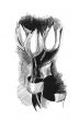 Tulips sketch