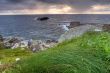 grass and sea