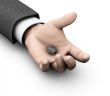 Microchip in hand