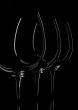 wine glasses on black