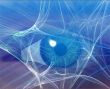 Digital vision