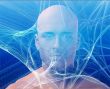 Man and information