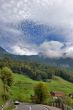 Alpine meadow