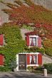 Cosy small house