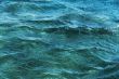 Background of a surface of the sea