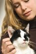 My lovely cat