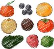 Fruits illustration