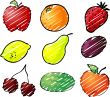 Fruit illustration