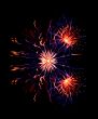 Firework in the night
