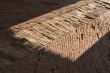Path laid out by bricks