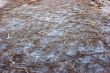 Salty patterns.