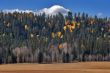 Small cloud above an autumn grove.