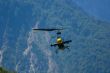 Attack Helicopter
