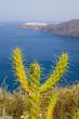 Santorini, Greece