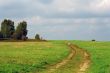 road through a meadow