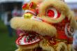 Dancing Lion