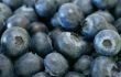 Organic Blueberries