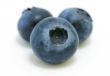 Blueberries trio